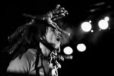 massene bob